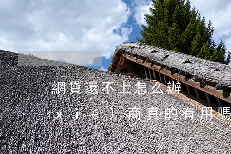 網貸還不上怎么辦？與客服協(xié)商真的有用嗎？步驟及解決辦法全攻略